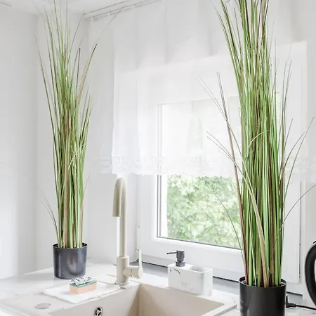 Grunwald Raszynska Bright By Bookinghost Poznań