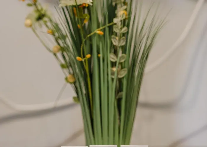 Grunwald Raszynska Bright By Bookinghost *